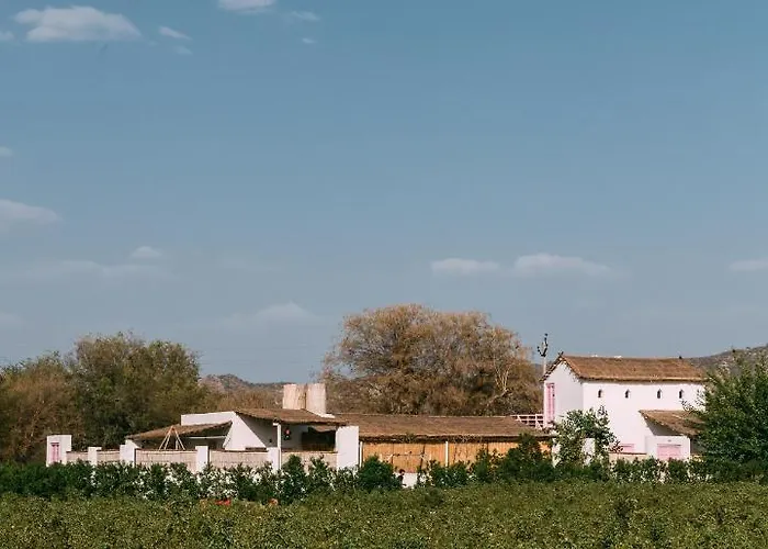 The Luxe Pushkar - A Luxury Farmstay In Pushkar